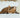My cat snores: when should I worry?