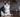 Fat cat? When should I be concerned?