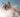 The Sacred Birman, discover this beautiful cat breed