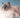 The Sacred Birman, discover this beautiful cat breed