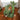 CactusHouse small cat tree