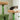 CatCastle large cat tree