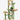 CatLife large cat tree