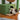 CrazyCactus small cat tree