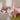 DoubleTower ceiling cat tree