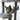 DualTower ceiling cat tree