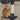 FlowerTower ceiling cat tree