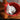 TripleTower ceiling cat tree