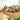 cactus cat tree brown green