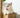 munchkin cat white