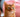Abyssinian cat orange