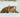 cat snoring what to do