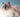 The Sacred Birman cat