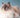 The Sacred Birman cat
